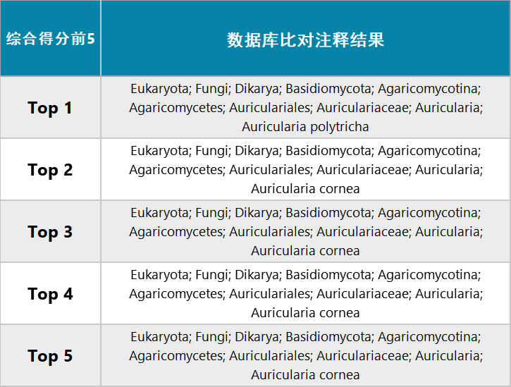 2024年12月13日 第3页