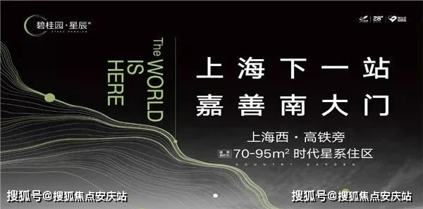 新澳门全年免费料_详细解答解释落实_主页版v894.628