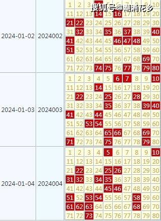 2024新澳门今晚开奖号码