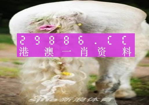 管家婆一肖一码100%准资料大全_作答解释落实_手机版991.104