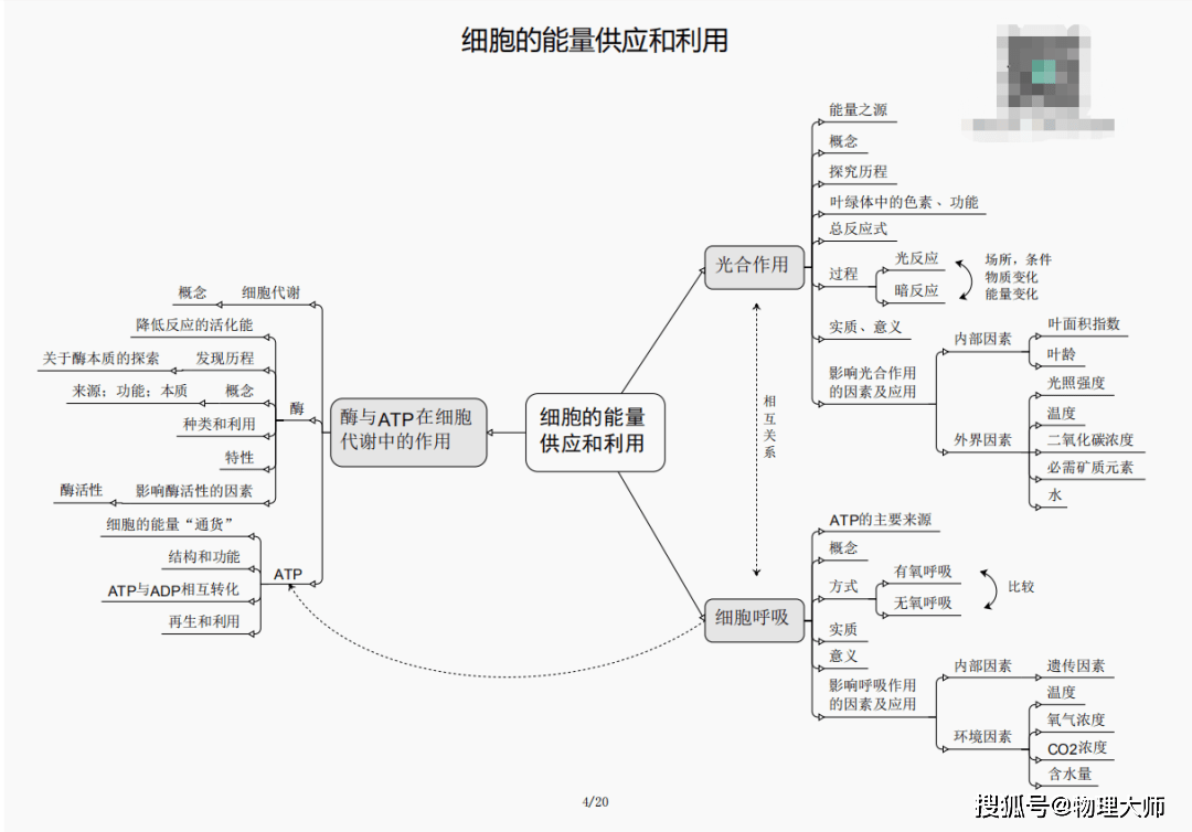 2024新澳三期必出一肖